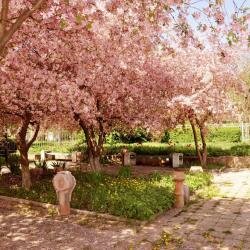 Гостиница Кузбасс Шахты-98